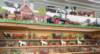 img_8614copy_small.jpg